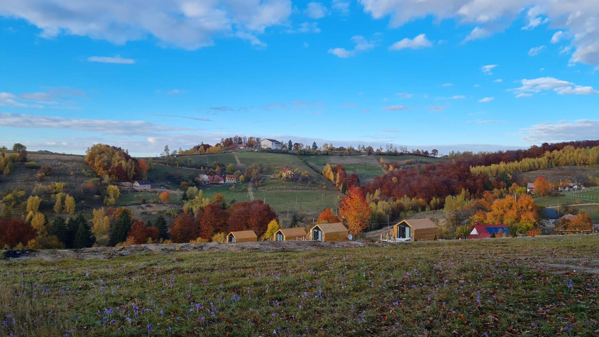 My Little Village Poiana Mărului Exterior foto